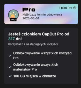 Montaż wideo w CapCut – szybki i praktyczny kurs 12